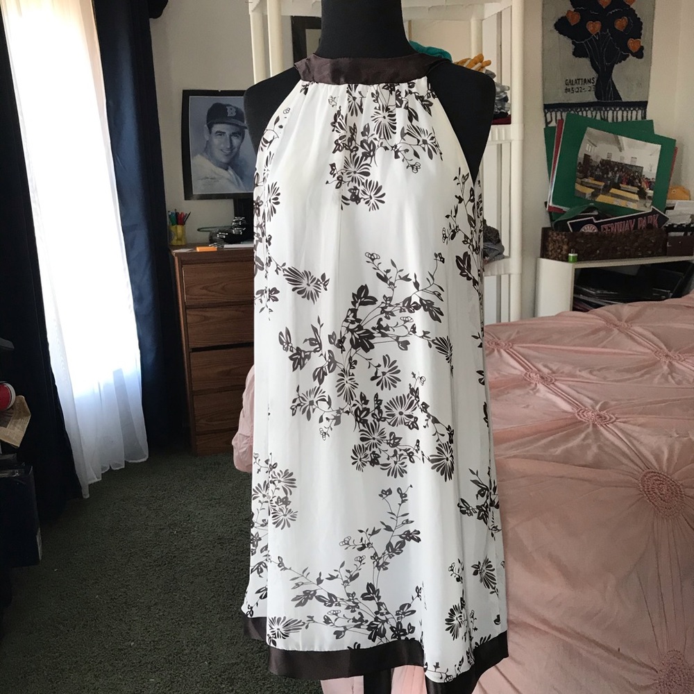 Studio Y Brown and White Ribbon Dress